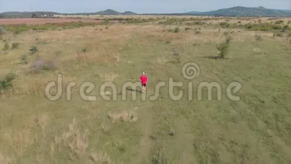 匈牙利草地上一名男子的空中镜头视频的预览图