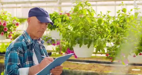 园艺师在剪贴板上书写同时监督温室中的植物视频的预览图