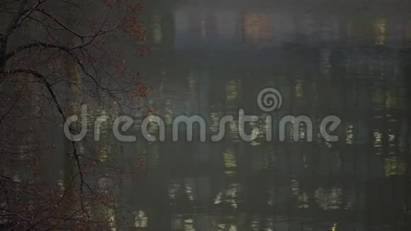 城市景观河流中的倒影视频的预览图