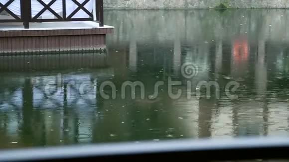 雨点落在房子附近的水面上视频的预览图