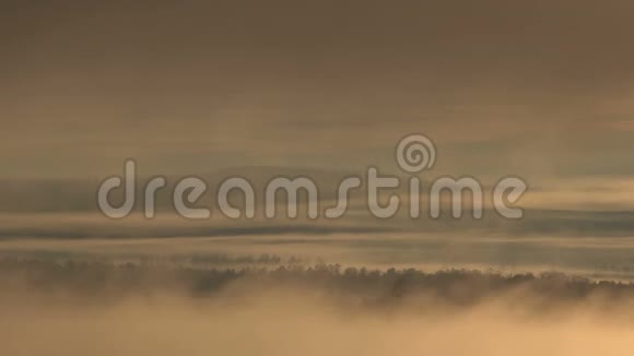 森林和河面上雾的美丽景色视频的预览图
