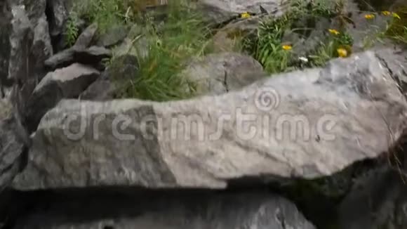 岩石海岸和低生长植物沿着一个小湖岸有沙子的圆石视频的预览图