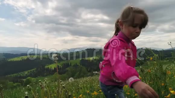 在喀尔巴阡山背景下的一片开花草坪上玩耍的孩子视频的预览图