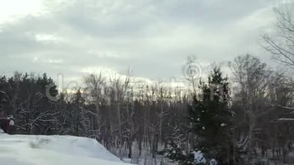 从移动汽车或火车的窗户拍摄冬季森林的视频镜头移过覆盖着雪的树木和灌木视频的预览图