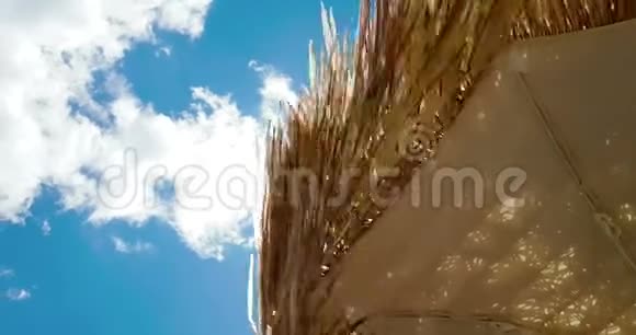 蓝天下的草滩伞风上的运动暑假视频的预览图