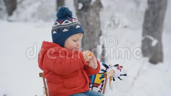 带雪橇的小男孩视频的预览图