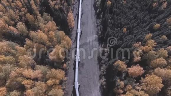 阿拉斯加石油管道秋季季节的空中镜头道尔顿公路视频的预览图