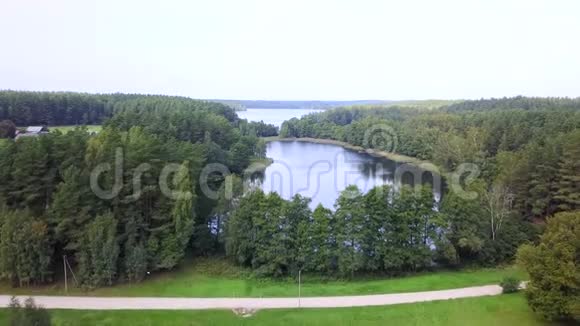 湖泊从鸟飞的高度被森林包围航空测量视频的预览图