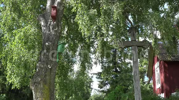 鸟舍鸟巢盒子挂在靠近农舍的老桦树上4公里视频的预览图