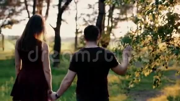 日落时分一对幸福的夫妇在森林里牵手散步慢莫稳定射击视频的预览图