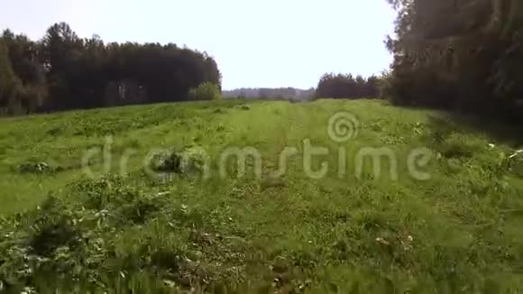 田野上的轮痕和森林里的草视频的预览图