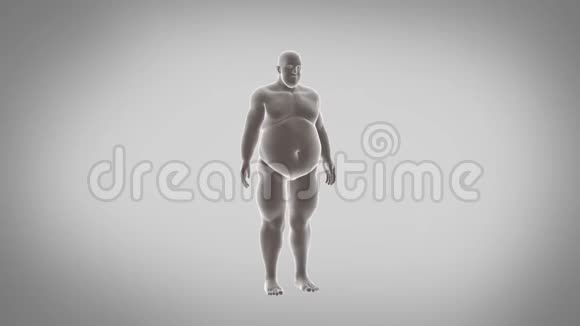 胖子减肥视频的预览图