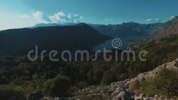 空中黑山公鸡视频的预览图