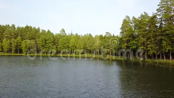 宁静的河流在森林海岸的背景下没有云的天空航空测量视频的预览图