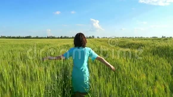美丽的女孩跑在绿色的麦田上视频的预览图