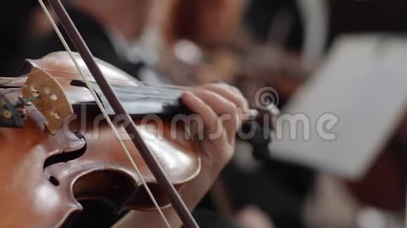 印度交响乐团女人在模糊的背景下拉小提琴视频的预览图
