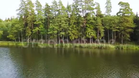全景从右到左在河中的林区航空测量视频的预览图