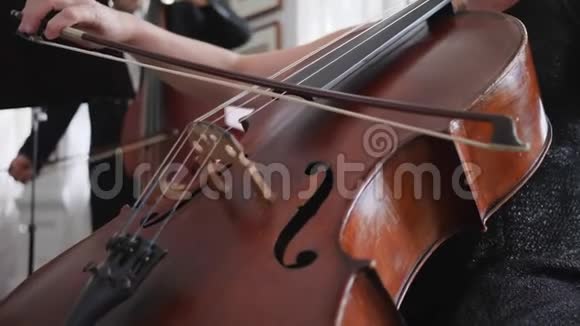 专业大提琴演奏者在慢动作中演奏大提琴的特写弦视频的预览图