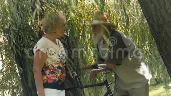 一位年长的男子在柳树下谈话视频的预览图