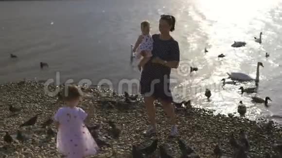 年轻的母亲带着她的小女儿在河边喂天鹅和小鸭子小鸟在河边吃面包穿着点缀的裙子视频的预览图