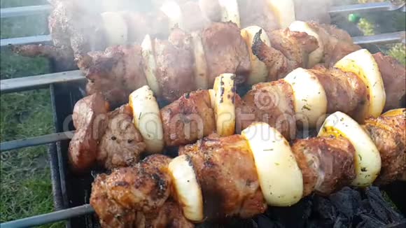 什什烤肉串是油炸的烧烤的烧烤的慢动作的户外的开胃的野餐的香料的视频的预览图