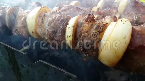 什什烤肉串是油炸的烧烤的慢动作的户外的开胃的野餐的香料的视频的预览图