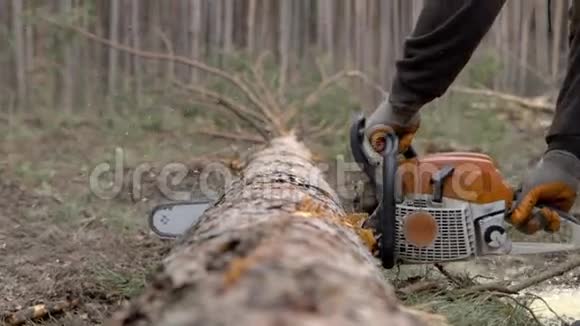 人锯木电锯视频的预览图