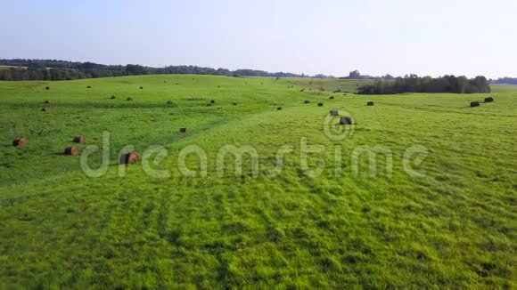 一片片干草躺在乡间草地的绿草上航空测量视频的预览图