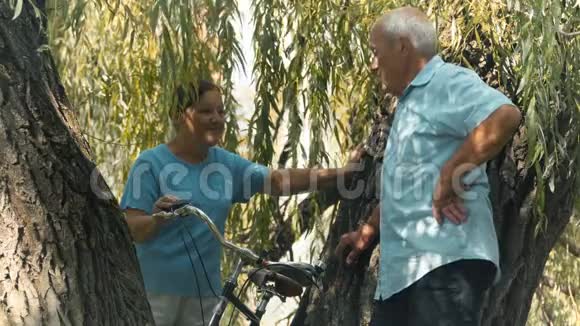 老人和女人在柳树下谈话视频的预览图