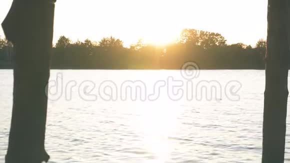 在夕阳下河上的木墩视频的预览图