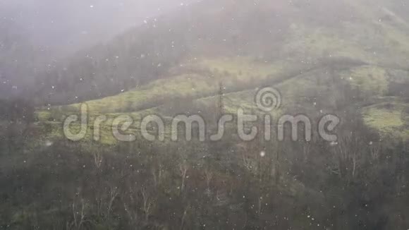 一场暴风雪正在刮风秋天的傍晚在森林缓慢的背景下下雪视频的预览图