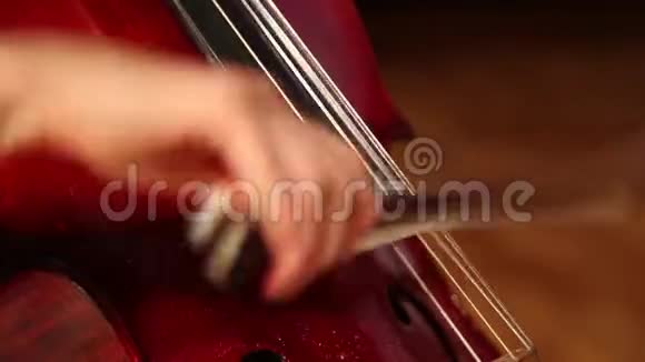 管弦乐队中小提琴的特写镜头视频的预览图