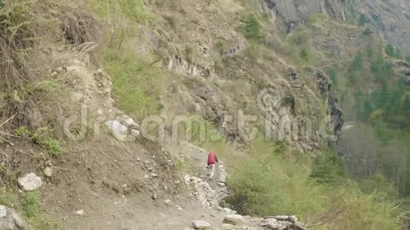 在玛纳斯鲁山附近尼泊尔小路上的背包客视频的预览图