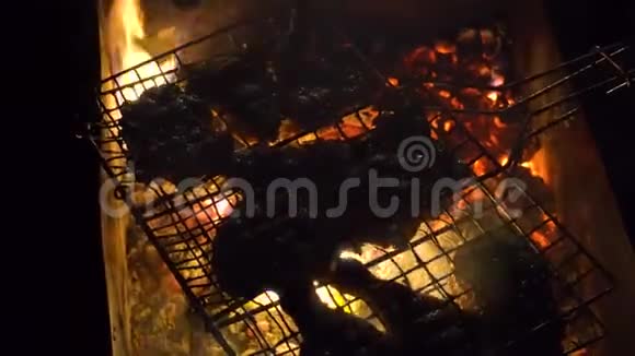 夜间烧烤多汁的肉块在煤上蒸视频的预览图