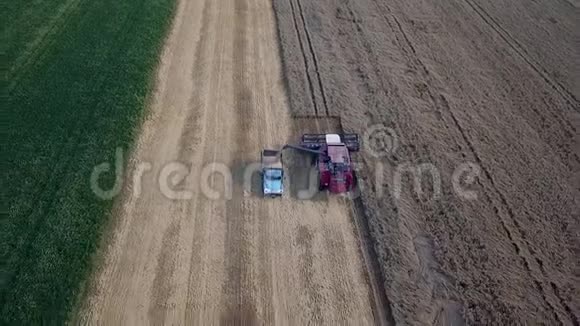 联合和农机收割小麦田间劳动的收割者视频的预览图
