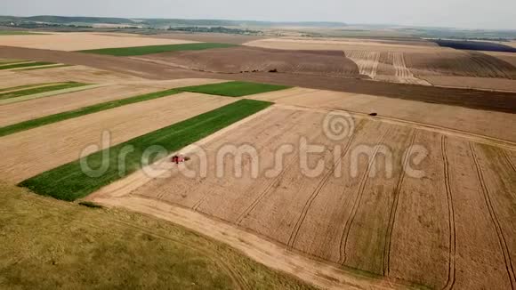 现代联合收割小麦的空中景观田间劳动的收割者视频的预览图