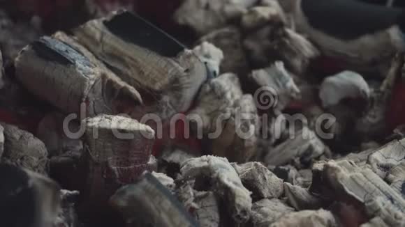 用灰灰覆盖在黑色大布拉齐尔的点燃的煤块特写视频的预览图
