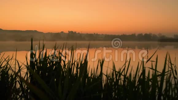 湖上黎明时分视频的预览图