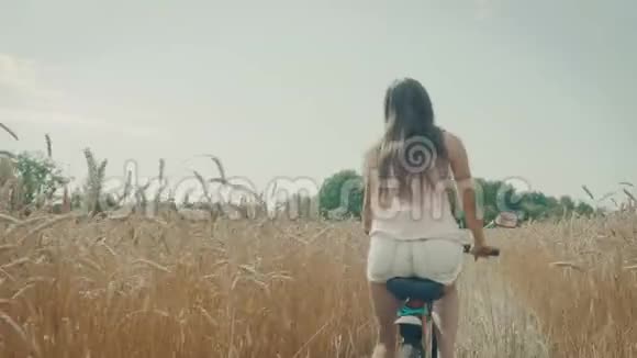 年轻女子在麦田里骑自行车视频的预览图