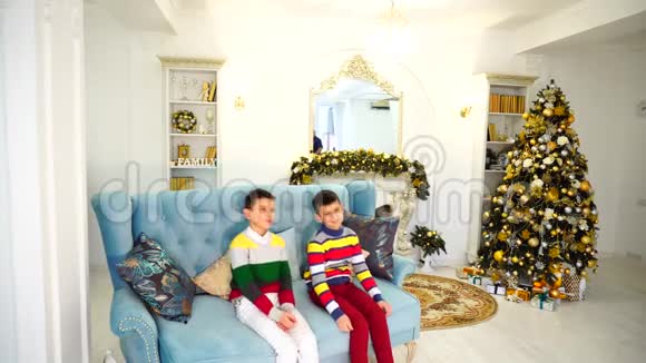 的两个哥哥的孩子不想完成父母命令坐在蓝色的沙发上表示不满视频的预览图