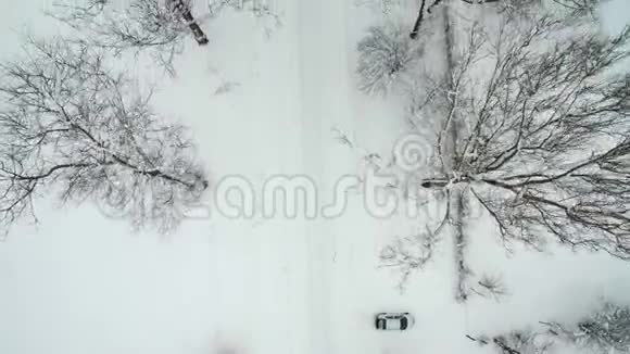 飞越满是雪的道路道路附近的树木从顶部看视频的预览图