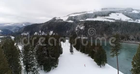 带着狗在雪地森林里散步的人视频的预览图