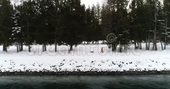 带着狗在雪地森林里散步的人视频的预览图