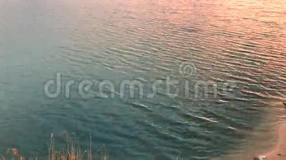 在夕阳的温暖光线下带着波浪的湖视频的预览图