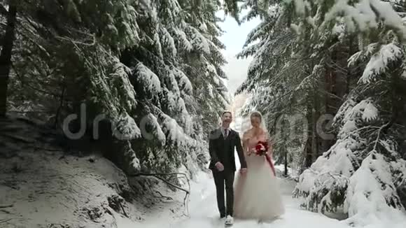 年轻的新婚夫妇走着微笑着说话在下雪的森林里牵手冬季婚礼视频的预览图