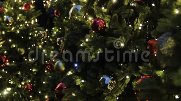 圣诞树背景和圣诞装饰品傍晚绿杉上五颜六色的球和花环视频的预览图