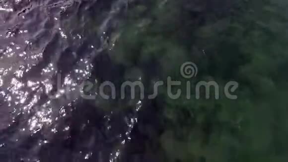 水的俯视图浅水中的绿水移动和飞越水面视频的预览图