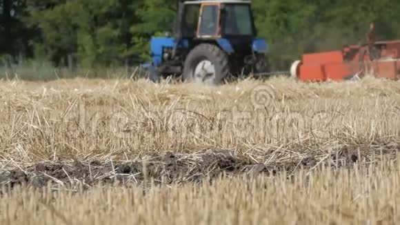 背景下的小麦倒在拖拉机上收割庄稼视频的预览图