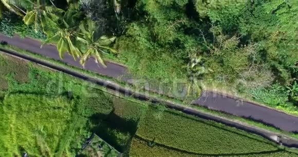 从空中俯瞰村庄的道路和椰子树到巴厘岛上的稻田视频的预览图