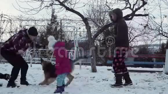 一家人在冬天玩狗视频的预览图
